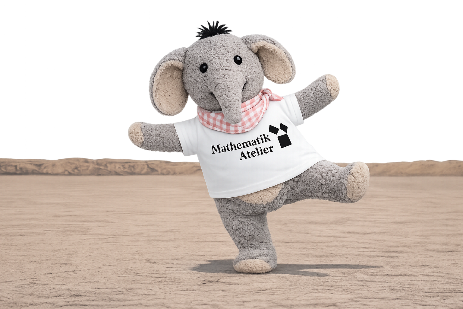 Mathematik Nachhilfe Regensburg - Einzel Nachhilfe